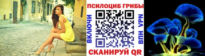 цены наркотик  Черногорск  Галлюциногенные грибы ЛСД 