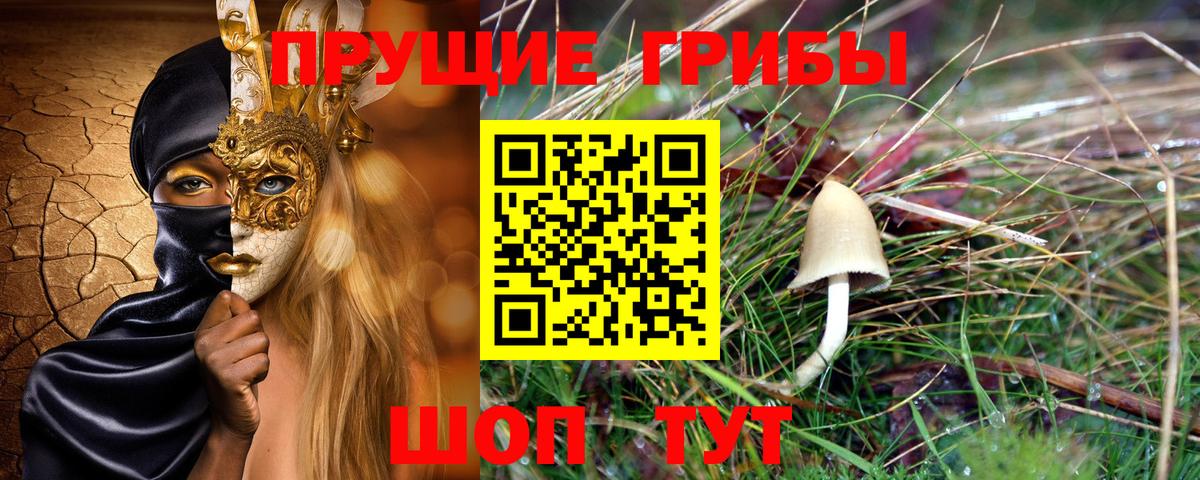 Галлюциногенные грибы Magic Shrooms Черногорск