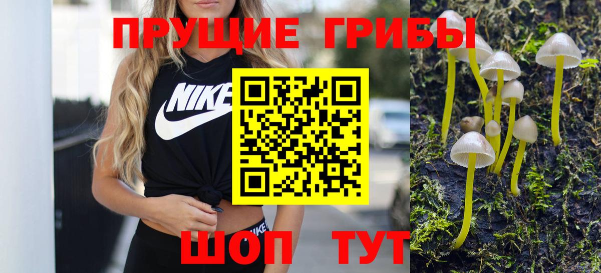 Черногорск  купить   Вход с VPN  Галлюциногенные грибы ЛСД 